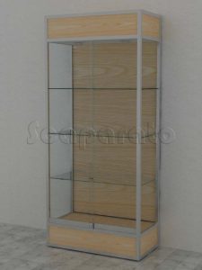 Vitrinas de madera y vidrio modernas